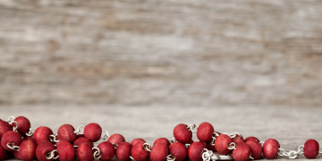 L’intelligence en vacances