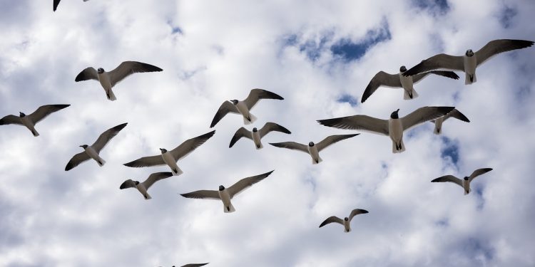 La famille libérale réunie