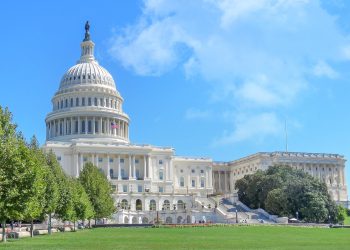 Quelles leçons des « midterms » ?