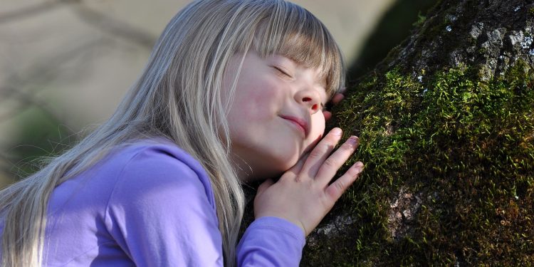 « Aux arbres, citoyens ! »