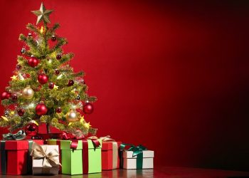 Des idées de cadeaux libéraux pour Noël
