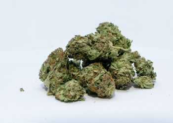 A Marseille on lutte efficacement contre le trafic de drogue
