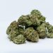 A Marseille on lutte efficacement contre le trafic de drogue