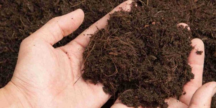 Gaspard Koenig oppose l’ homo et l’humus