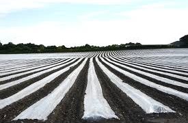 L’Assemblée a rejeté la totale collectivisation des terres